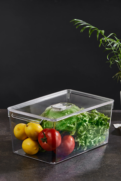 Organisateur De Réfrigérateur Crystal Fresh Cap Avec Couvercle 200 X 325 X 140 mm