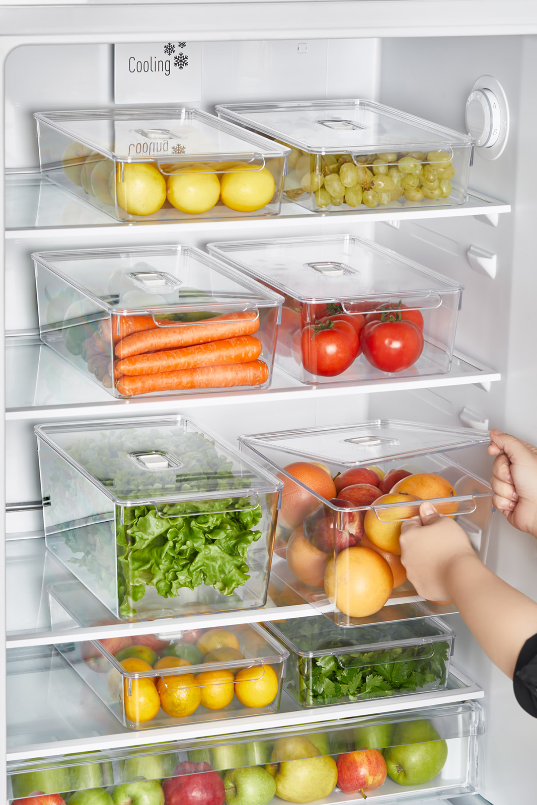 Organisateur De Réfrigérateur Crystal Fresh Cap Avec Couvercle 200 X 325 X 100 mm