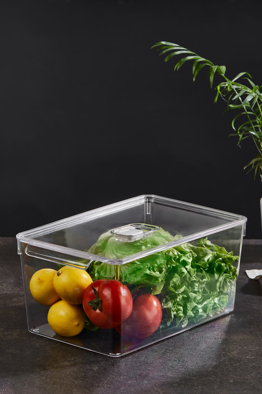 Crystal Fresh Cap Refrigerator Organizer With Cover 200 X 325 X 140 mm